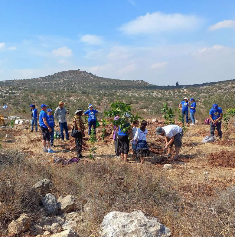 Planting in Israel